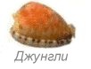 индивидуальный туризм